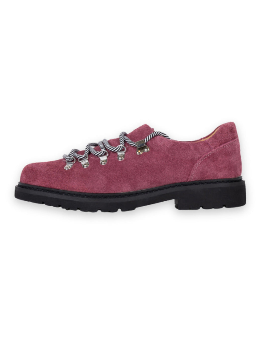 VEYRA DERBY – Scarpe in pelle scamosciata rosa